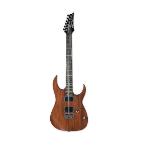 ELEC GUITAR IBANEZRG421