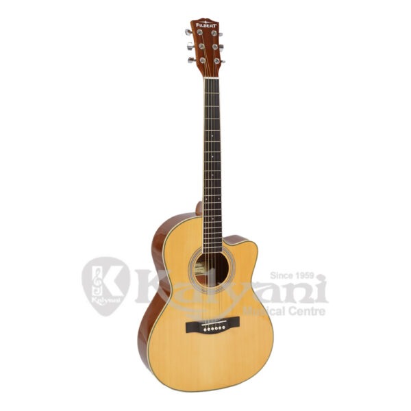 GUITAR FILBERT SM39C