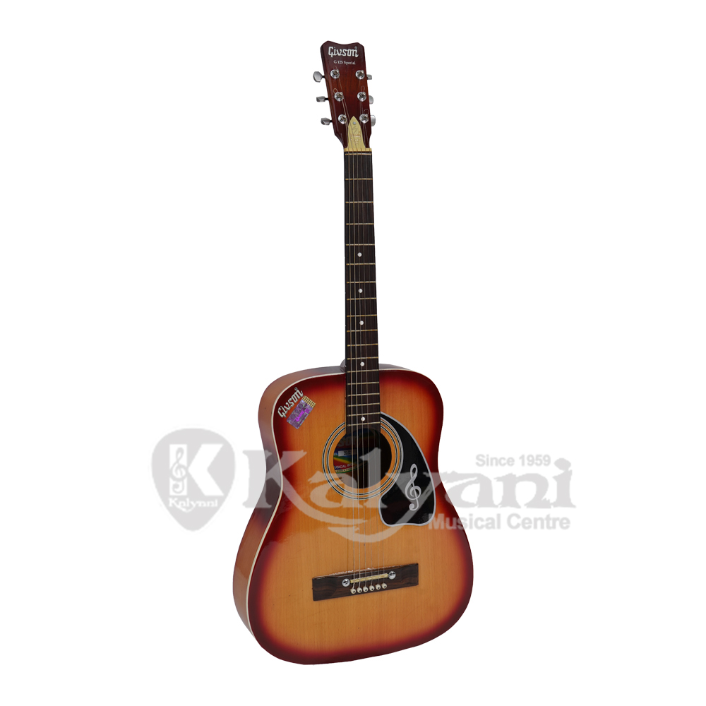 Givson guitar g 215 standard outlet price