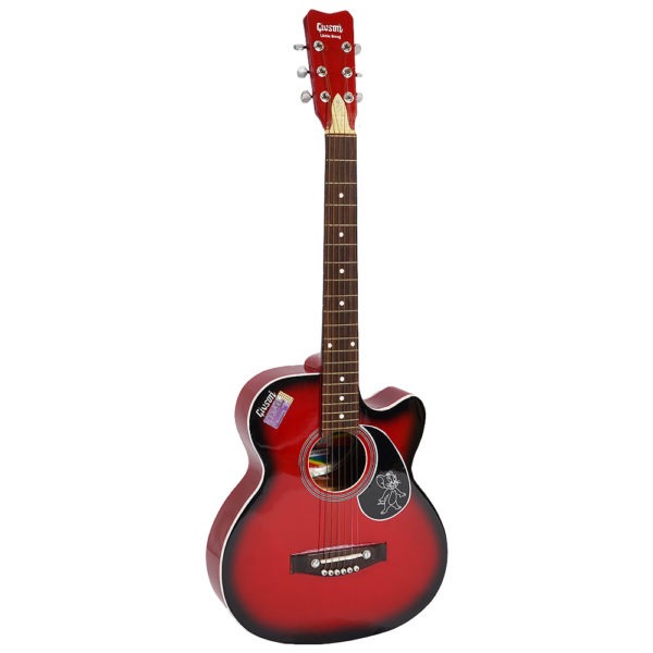 Givson Little Sreej Acoustic Guitar
