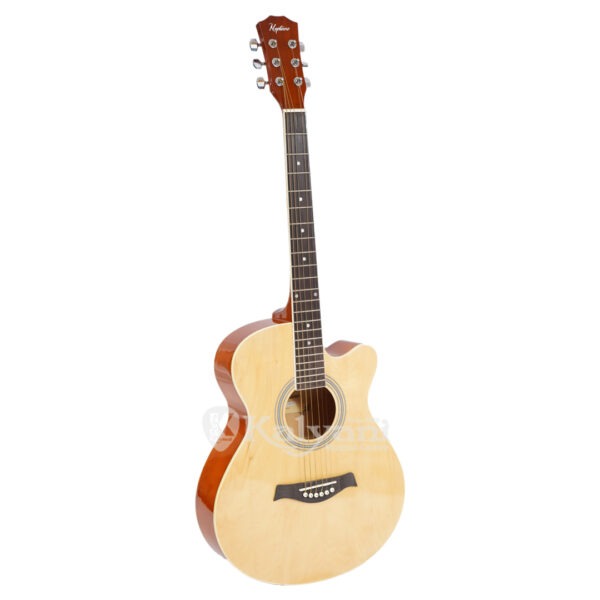 GUITAR NEPTUNE NAGM40