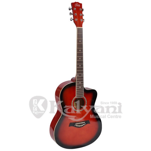 GUITAR TRINITY TNY 3910