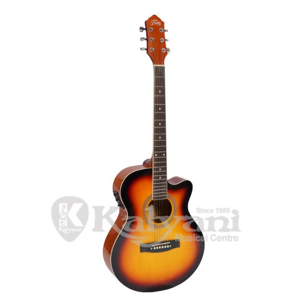 GUITAR TRINITY TNY 4010