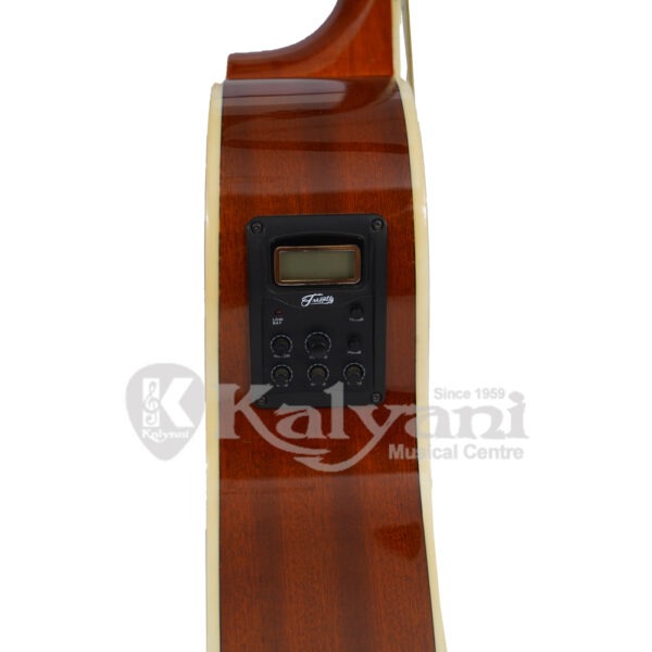 GUITAR TRINITY TNY 6000