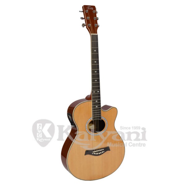 GUITAR TRINITY TNY 6000