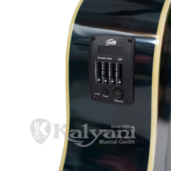 GUITAR TRINITY TNY 6000