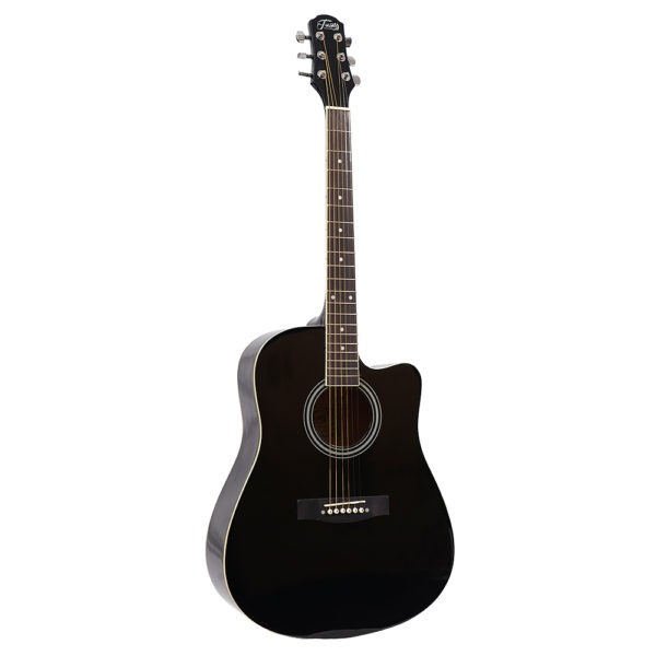 Trinity acoustic guitar TNY 4900