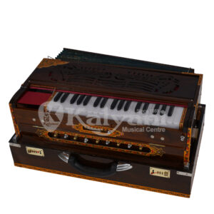 Double Read Harmonium Suite Case