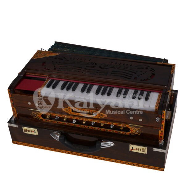 Double Read Harmonium Suite Case
