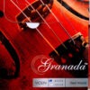 Granada Violin String set steel MC
