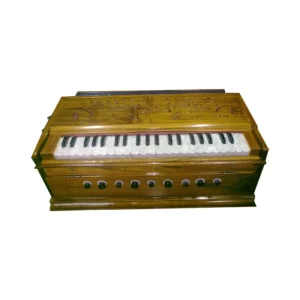 standard-harmonium-with-sticky-keys